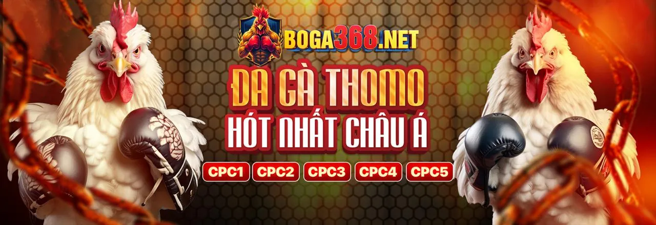 Cúp vàng và huy chương, tượng trưng cho các sự kiện thể thao đặc biệt của VN69