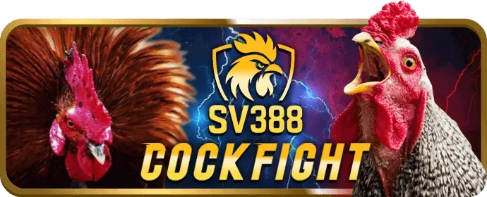 Cá cược Đá Gà VN69